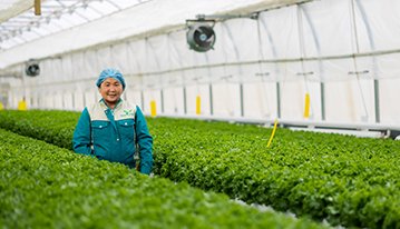 Инновацийн бизнесийг бий болгох